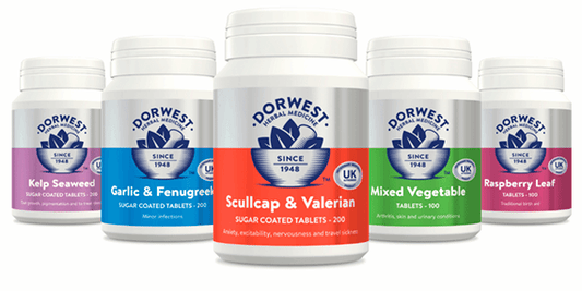 Dorwest Veterinary Herbal Products for Cats and Dogs Naturally Healthy Pet