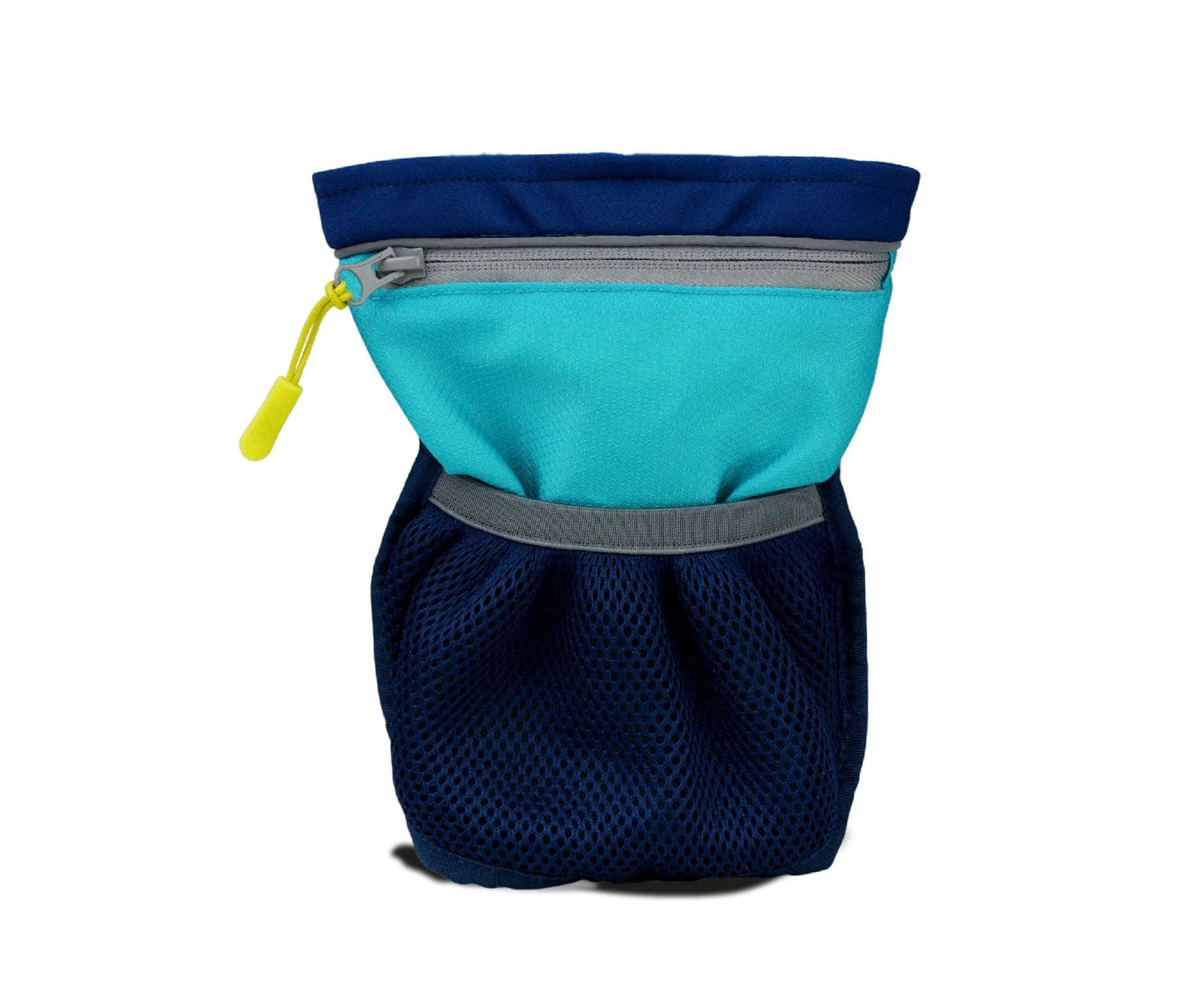 Coachi Pro Train and Treat Bag