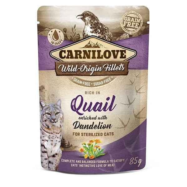 Wild Origin Fillets Cooked Wet Food