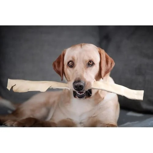 Giant Ear Sticks