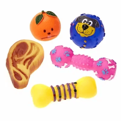 Squeaky Toy
