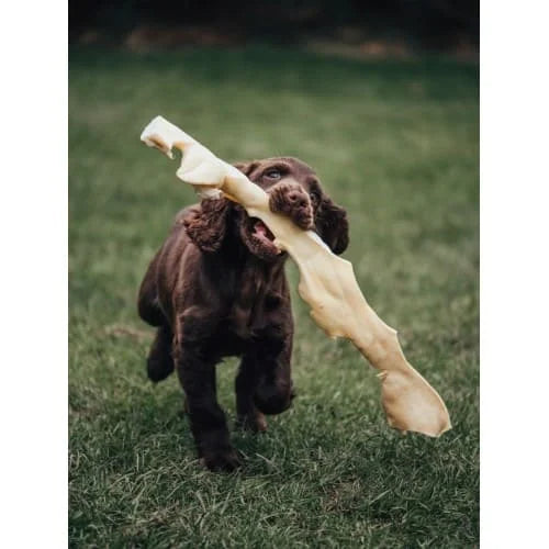 Giant Ear Sticks