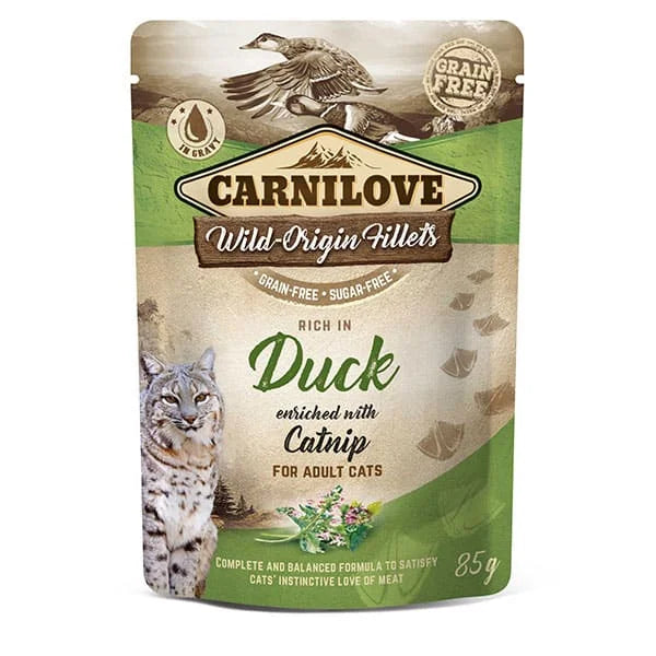Wild Origin Fillets Cooked Wet Food