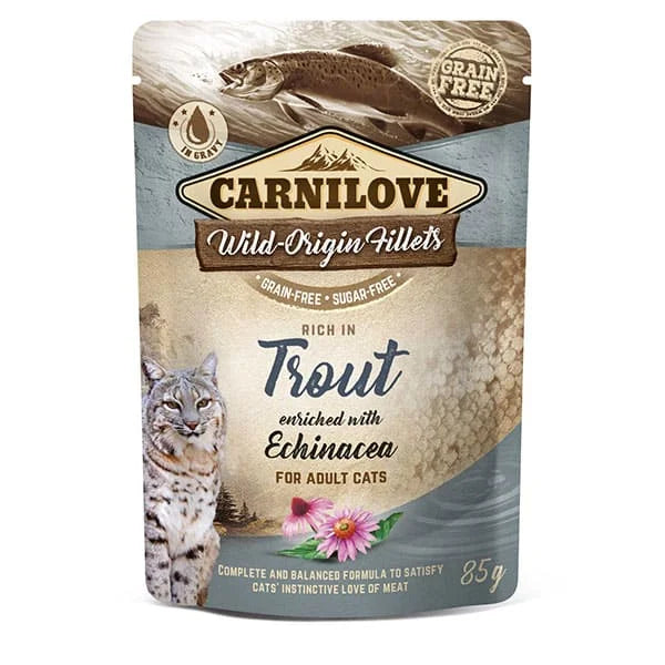Wild Origin Fillets Cooked Wet Food