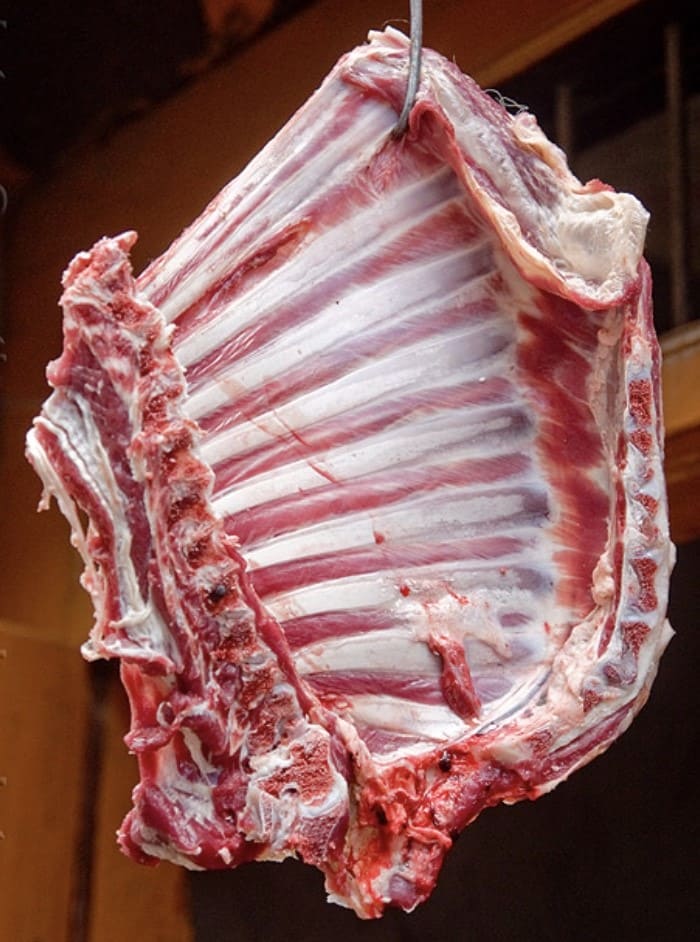Raw Venison Ribs