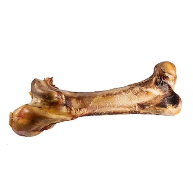 Ostrich Bone