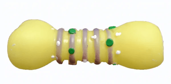 Squeaky Toy