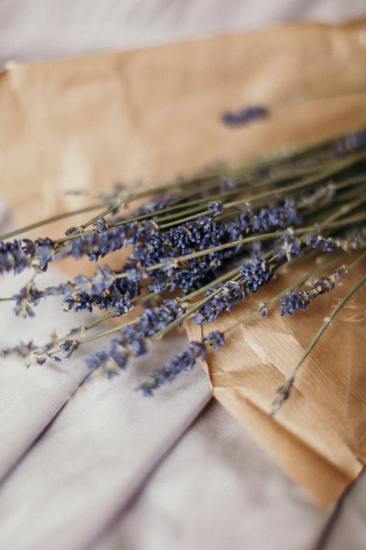 The Many Benefits of Lavender Naturally Healthy Pet