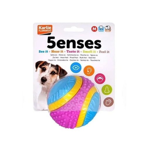 Five Senses Ball