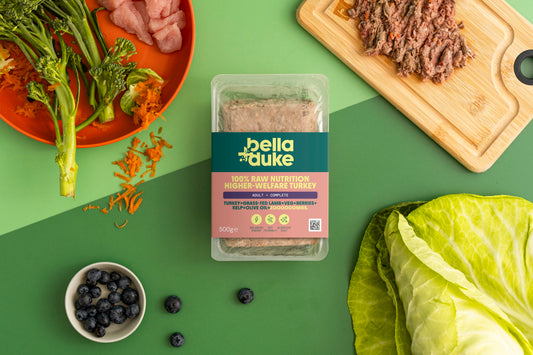 Bella and Duke Complete Raw Food