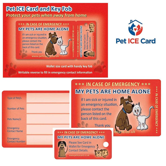 Pet ICE Card and Key Fob