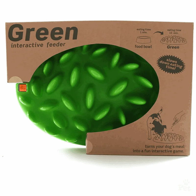 Green Interactive and Slow Feeder