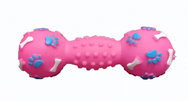 Squeaky Toy